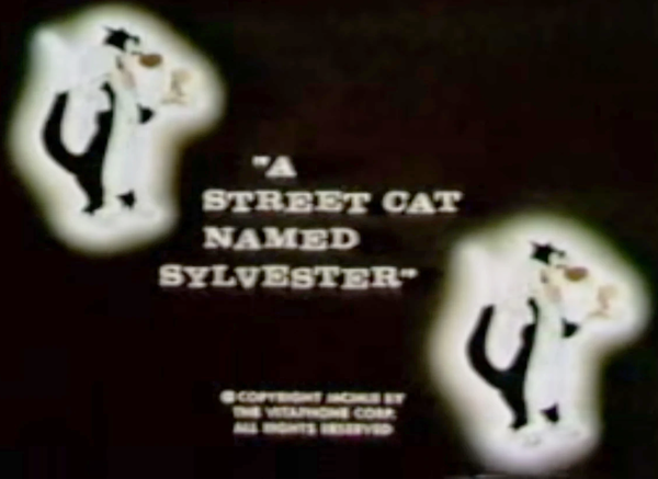 A Street Cat Named Sylvester Looney Tunes Wiki a-street-cat-named-sylvester-looney-tunes-wiki