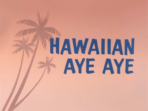 Hawaiian Aye Aye Title Card.png