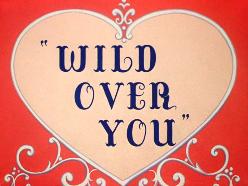 File:Wild Over You Title Card.png
