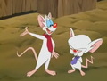 WW Pinky and Brain.png