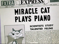 Express Mircale Cat Plays Piano.png
