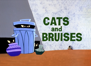 Cats and Bruises Title Card.png