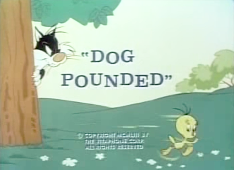 File:Dog Pounded TV title card.png
