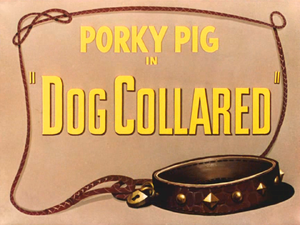 Dog Collared Title Card.png