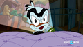 Baby Daffy's scary face.png